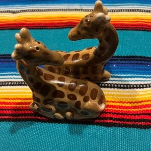 Brown Giraffe Salt & Pepper Shakers
